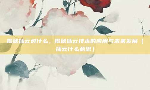 揭秘插云对什么,揭秘插云技术的应用与未来发展(插云什么意思)