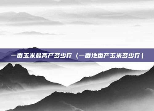 一亩玉米最高产多少斤（一亩地亩产玉米多少斤）