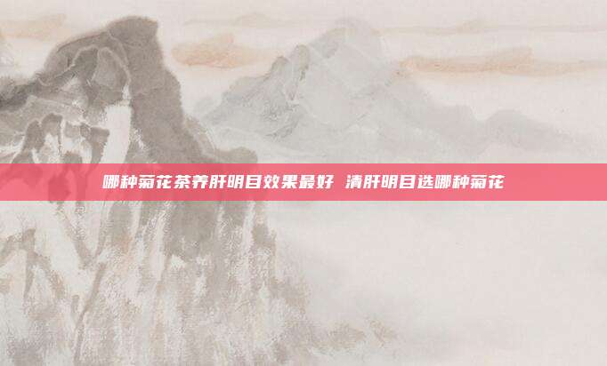 哪种菊花茶养肝明目效果最好 清肝明目选哪种菊花