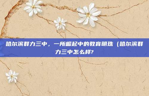 哈尔滨群力三中,一所崛起中的教育明珠(哈尔滨群力三中怎么样?