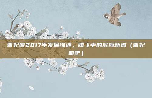 曹妃甸2017年发展综述,腾飞中的滨海新城(曹妃甸吧)