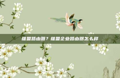 维盟路由器？维盟企业路由器怎么样