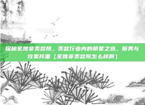 探秘圣雅菲美容院,美容行业内的明星之选,服务与效果并重(圣雅菲美容院怎么样啊)