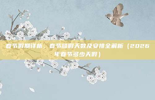 春节假期详析,春节放假天数及安排全解析(2026年春节多少天假)