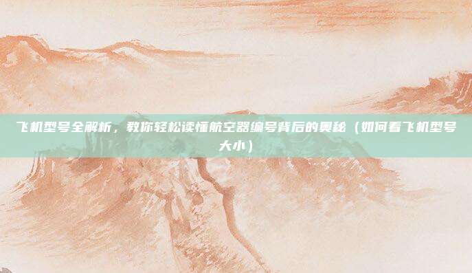 飞机型号全解析,教你轻松读懂航空器编号背后的奥秘(如何看飞机型号大小)