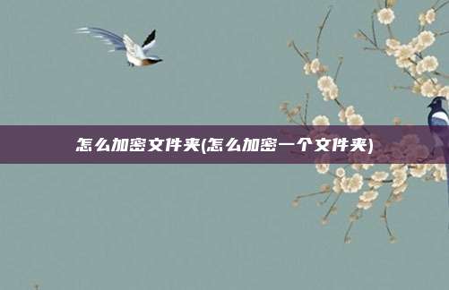 怎么加密文件夹(怎么加密一个文件夹)