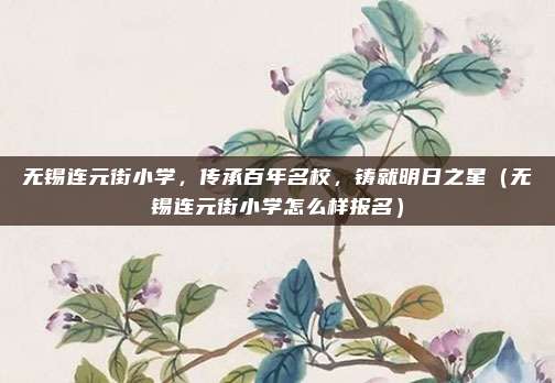 无锡连元街小学,传承百年名校,铸就明日之星(无锡连元街小学怎么样报名)