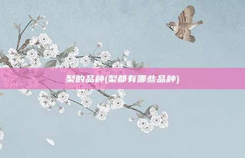 梨的品种(梨都有哪些品种)