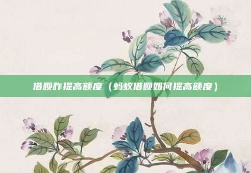 借呗咋提高额度（蚂蚁借呗如何提高额度）
