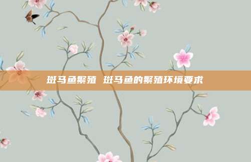 斑马鱼繁殖 斑马鱼的繁殖环境要求