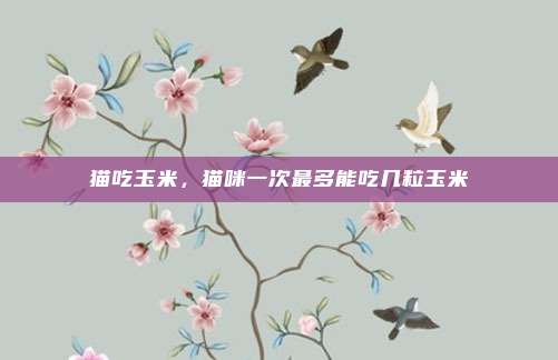 猫吃玉米，猫咪一次最多能吃几粒玉米