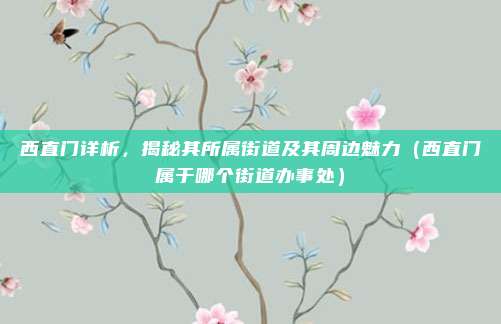 西直门详析,揭秘其所属街道及其周边魅力(西直门属于哪个街道办事处)