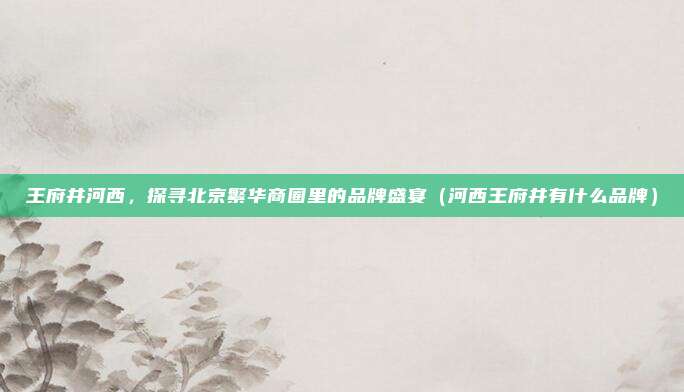 王府井河西,探寻北京繁华商圈里的品牌盛宴(河西王府井有什么品牌)