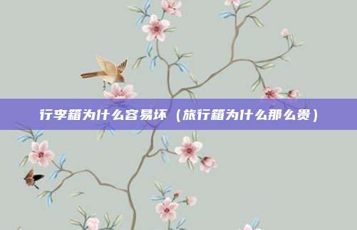 行李箱为什么容易坏（旅行箱为什么那么贵）