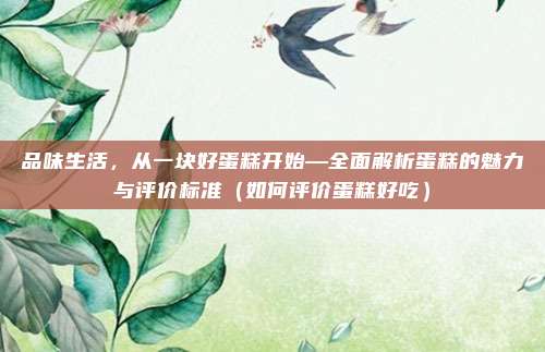 品味生活,从一块好蛋糕开始—全面解析蛋糕的魅力与评价标准(如何评价蛋糕好吃)
