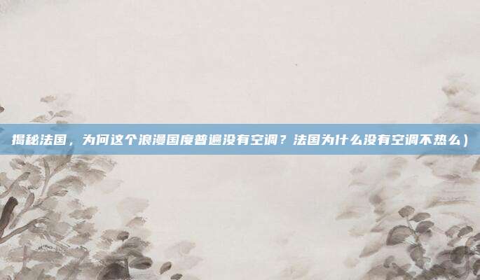 揭秘法国,为何这个浪漫国度普遍没有空调?法国为什么没有空调不热么)