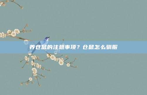 养仓鼠的注意事项？仓鼠怎么驯服