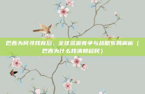 巴西为何寻找背后,全球资源竞争与战略布局解析(巴西为什么找清朝移民)