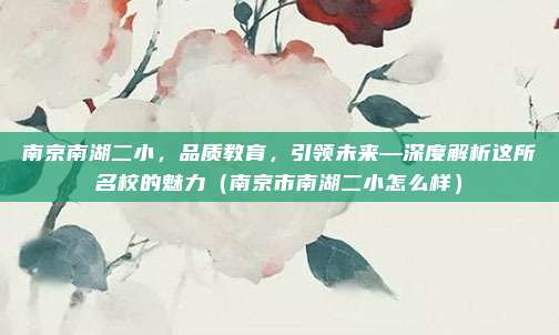 南京南湖二小,品质教育,引领未来—深度解析这所名校的魅力(南京市南湖二小怎么样)