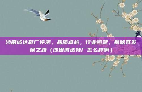 沙田诚达鞋厂评测,品质卓越,行业翘楚,揭秘其发展之路(沙田诚达鞋厂怎么样啊)