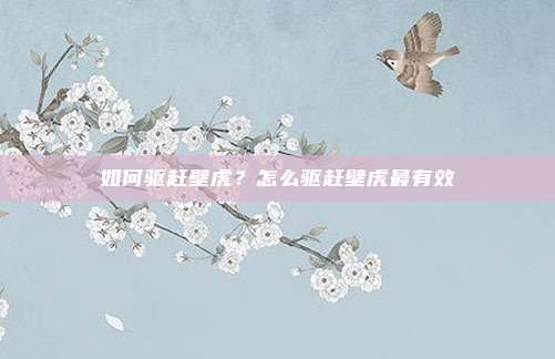 如何驱赶壁虎?怎么驱赶壁虎最有效