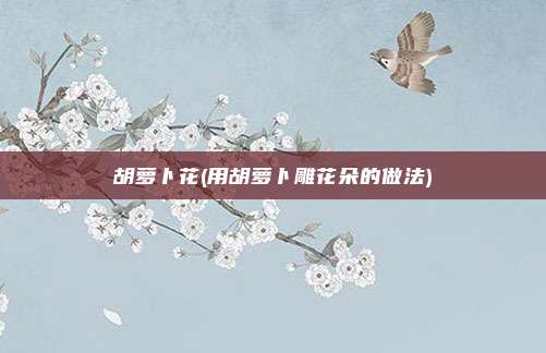 胡萝卜花(用胡萝卜雕花朵的做法)