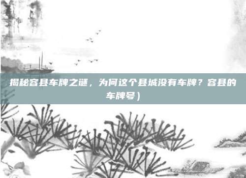 揭秘容县车牌之谜,为何这个县城没有车牌?容县的车牌号)
