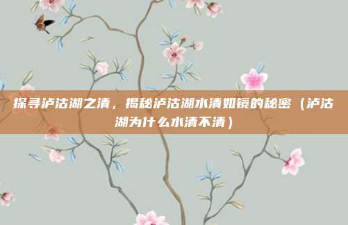 探寻泸沽湖之清,揭秘泸沽湖水清如镜的秘密(泸沽湖为什么水清不清)