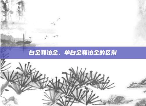 白金和铂金，单白金和铂金的区别