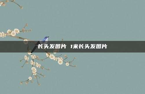 长头发图片 1米长头发图片