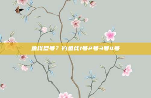 鱼线型号?钓鱼线1号2号3号4号