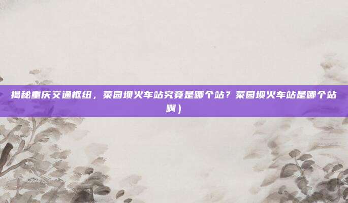 揭秘重庆交通枢纽,菜园坝火车站究竟是哪个站?菜园坝火车站是哪个站啊)