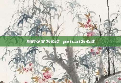 猫的英文怎么读 petcat怎么读