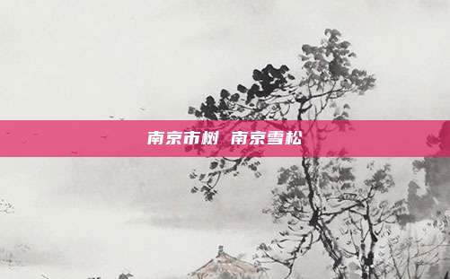 南京市树 南京雪松