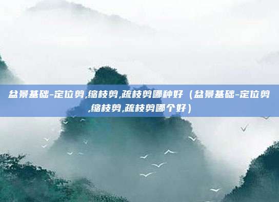 盆景基础-定位剪,缩枝剪,疏枝剪哪种好（盆景基础-定位剪,缩枝剪,疏枝剪哪个好）