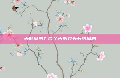 天鹅寓意?两个天鹅对头有啥寓意