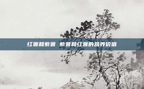 红薯和紫薯 紫薯和红薯的营养价值