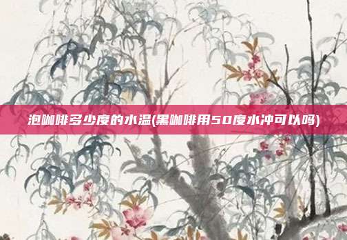 泡咖啡多少度的水温(黑咖啡用50度水冲可以吗)