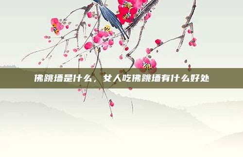 佛跳墙是什么，女人吃佛跳墙有什么好处