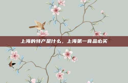上海的特产是什么,上海第一食品必买