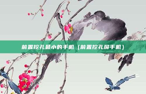 前置挖孔最小的手机（前置挖孔屏手机）