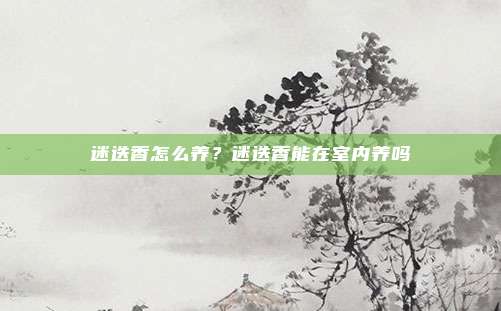 迷迭香怎么养？迷迭香能在室内养吗