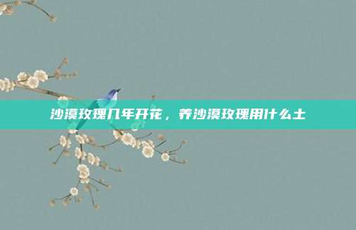 沙漠玫瑰几年开花，养沙漠玫瑰用什么土