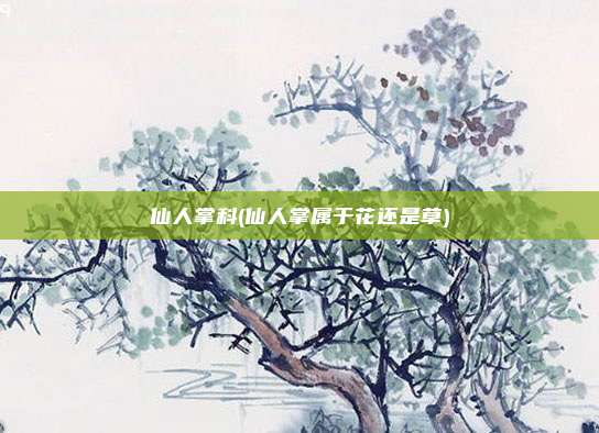 仙人掌科(仙人掌属于花还是草)