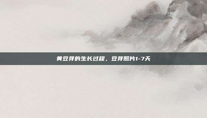 黄豆芽的生长过程,豆芽照片1-7天