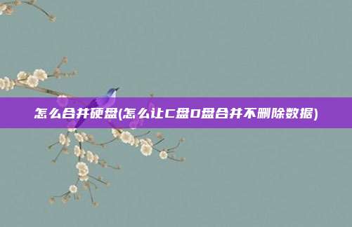 怎么合并硬盘(怎么让C盘D盘合并不删除数据)