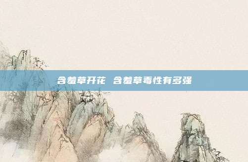 含羞草开花 含羞草毒性有多强