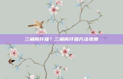 三角梅扦插?三角梅扦插方法视频