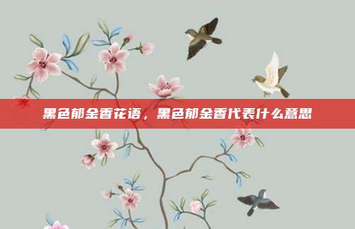 黑色郁金香花语,黑色郁金香代表什么意思