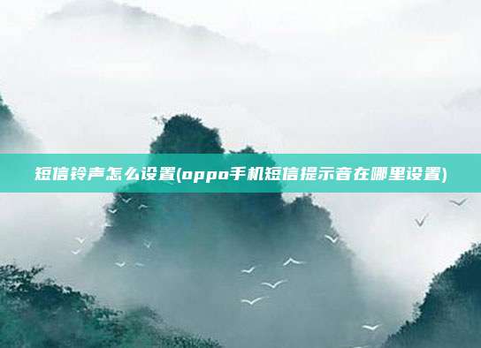 短信铃声怎么设置(oppo手机短信提示音在哪里设置)